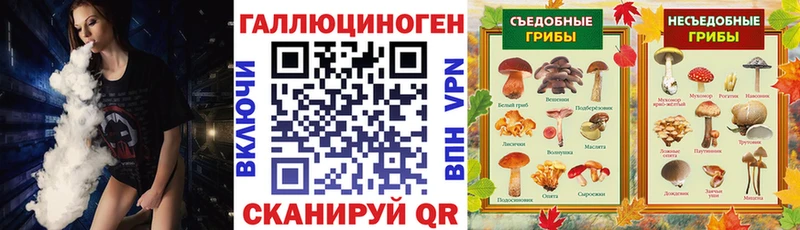 Псилоцибиновые грибы ЛСД Железногорск-Илимский